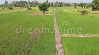 在清新自然的稻田里，无人机拍摄复古与老竹桥的鸟瞰风景，古老的乡村